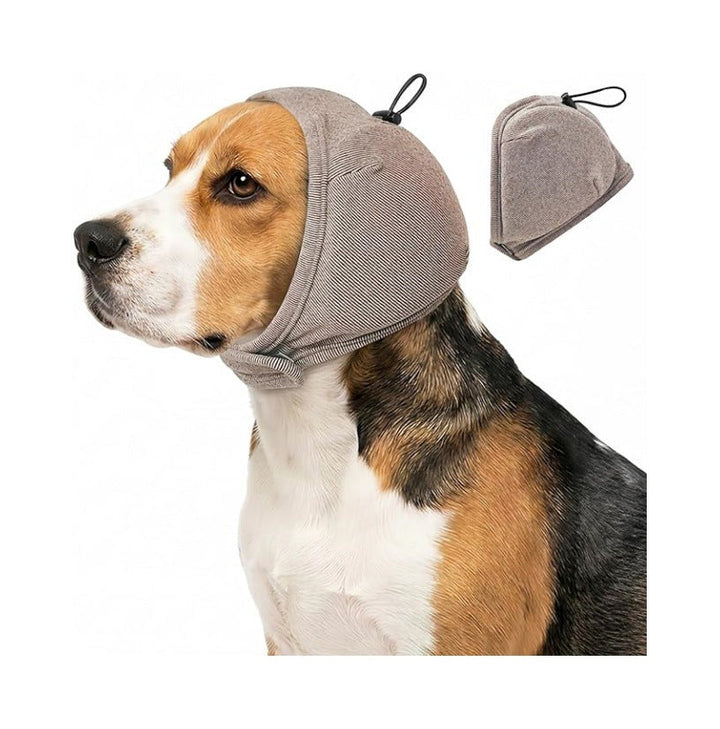Dog head protection Kalsten