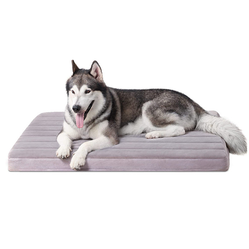 Orthopedic Supportive Dog Bed