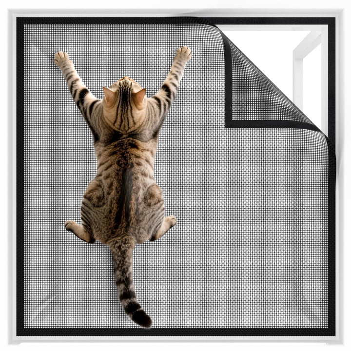 Cat Scratch Deterrent Window Screen Kalsten