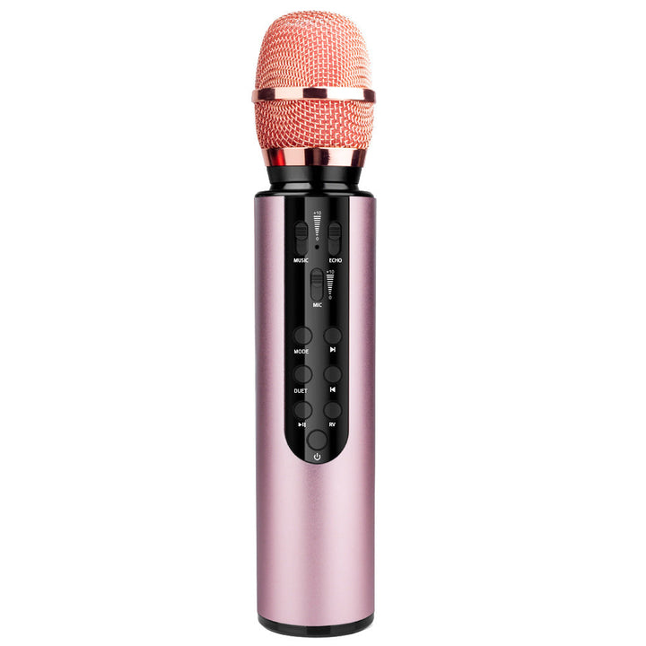 Wireless Karaoke Microphone with Echo Control Kalsten