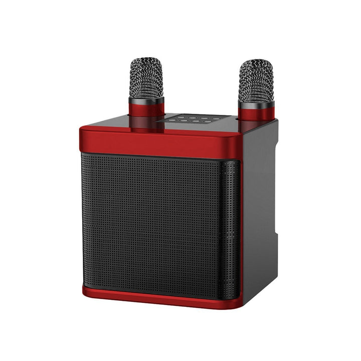 Karaoke Microphone Speaker System Kalsten