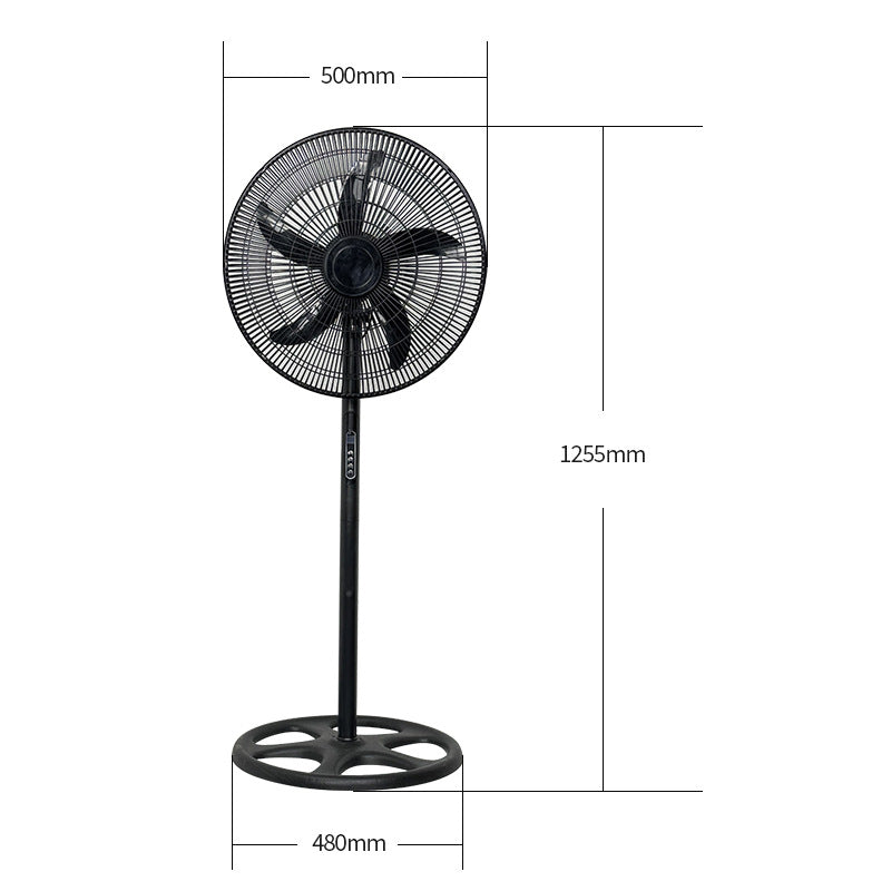 Ladies Stand Fan Kalsten