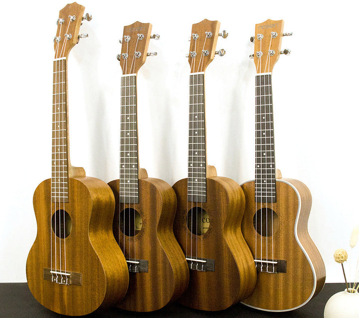 Rainbow Acoustic Ukulele Kalsten