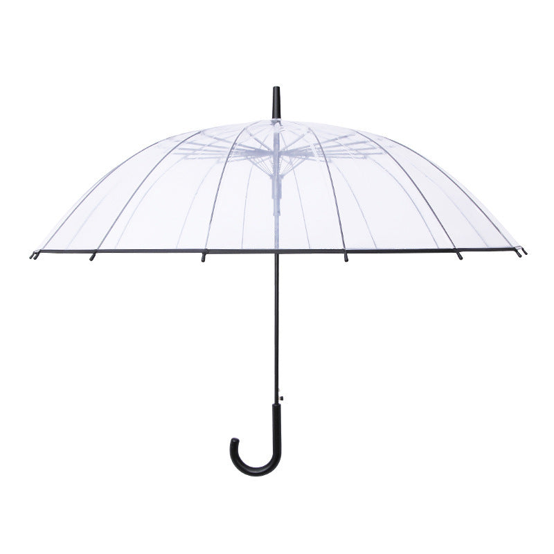 Women Transparent Design Folding Umbrella Kalsten