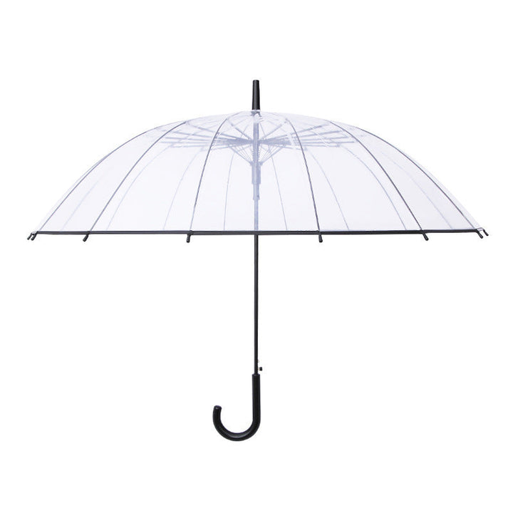 Women Transparent Design Folding Umbrella Kalsten
