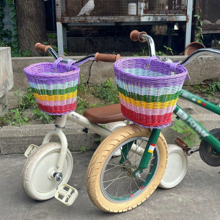 Multi-Color Handwoven Storage Basket Kalsten