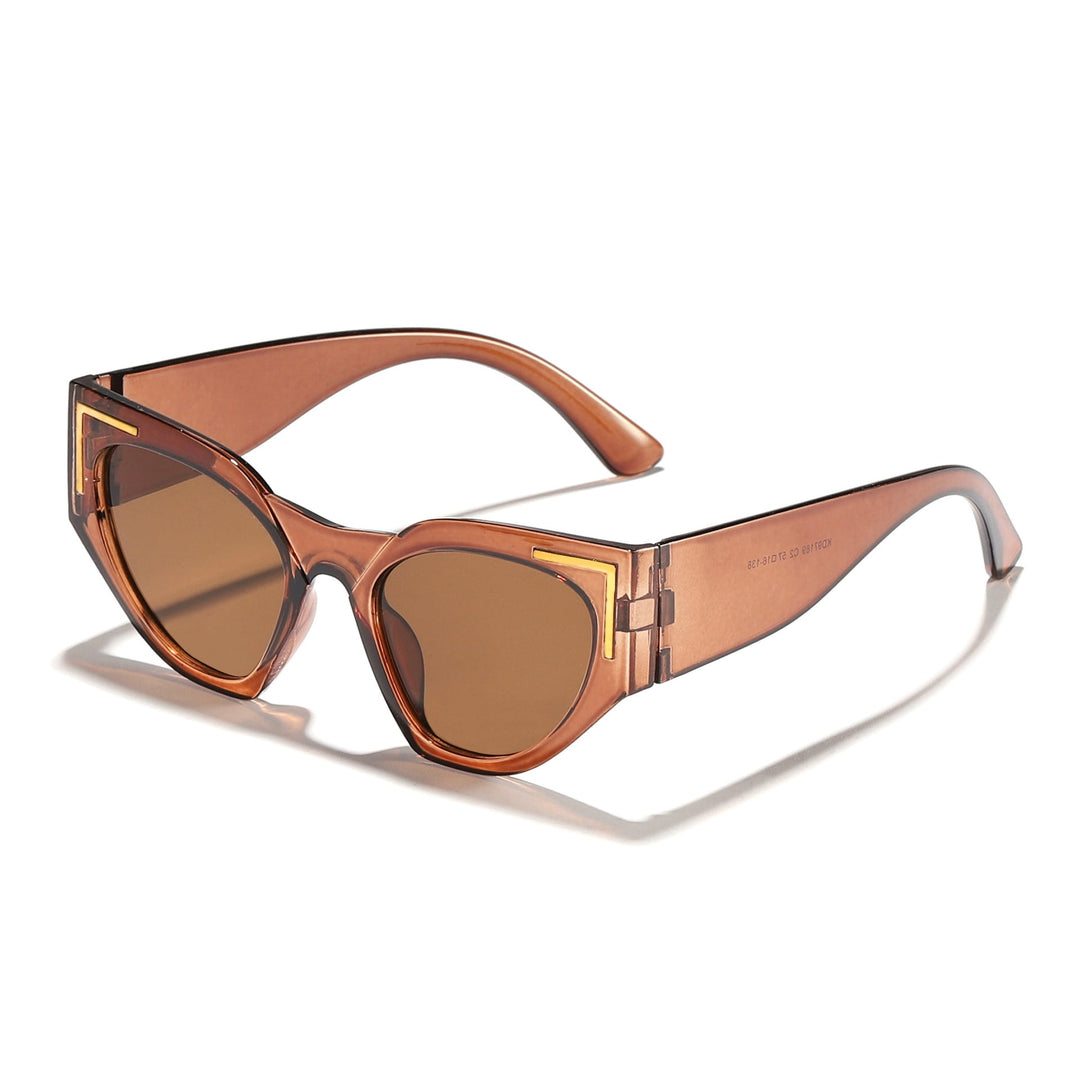 Women's Creative Cat-Eye Sunglasses with Transparent Frame and Brown Lenses Kalsten