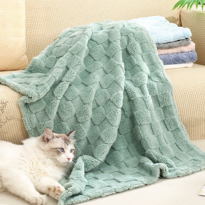 Lush Cozy Blanket Kalsten