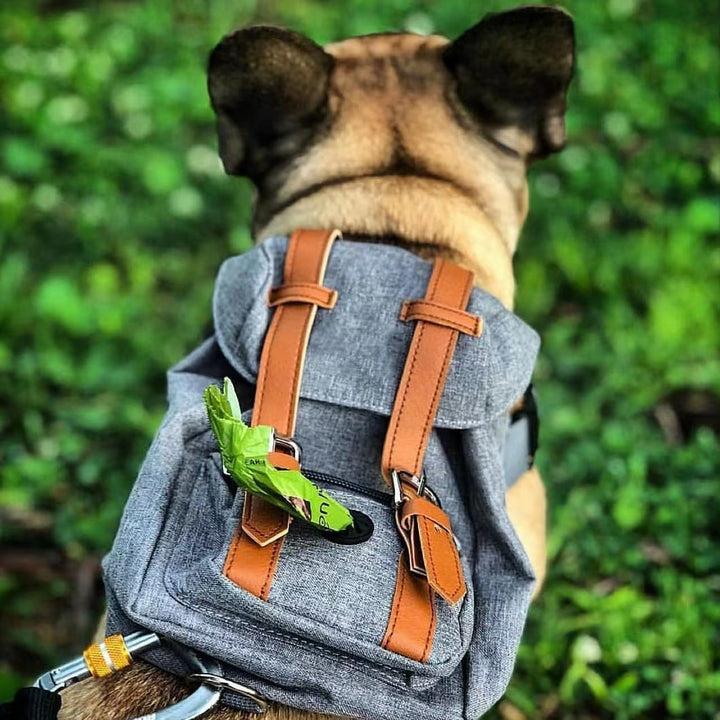 Unisex practical pet backpack with safety closure Kalsten