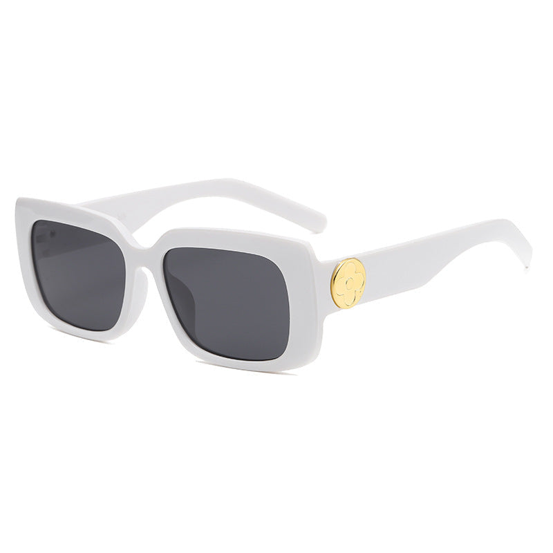 Women's Oversized Sunglasses with Luxurious Transparent Frame Kalsten