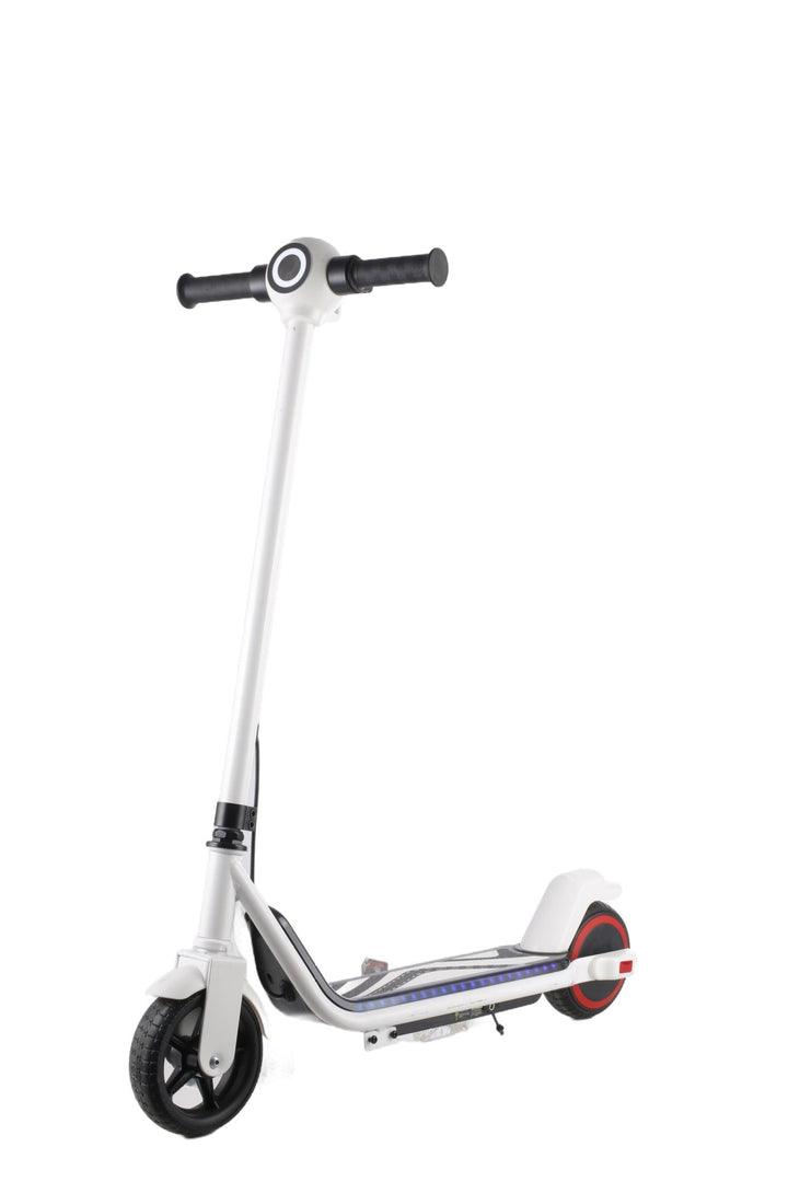 Compact Urban Electric Scooter Kalsten