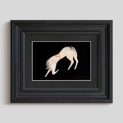 Framed Equestrian Art Print