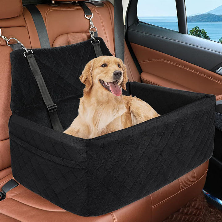 Safety Dog Transport Box Kalsten
