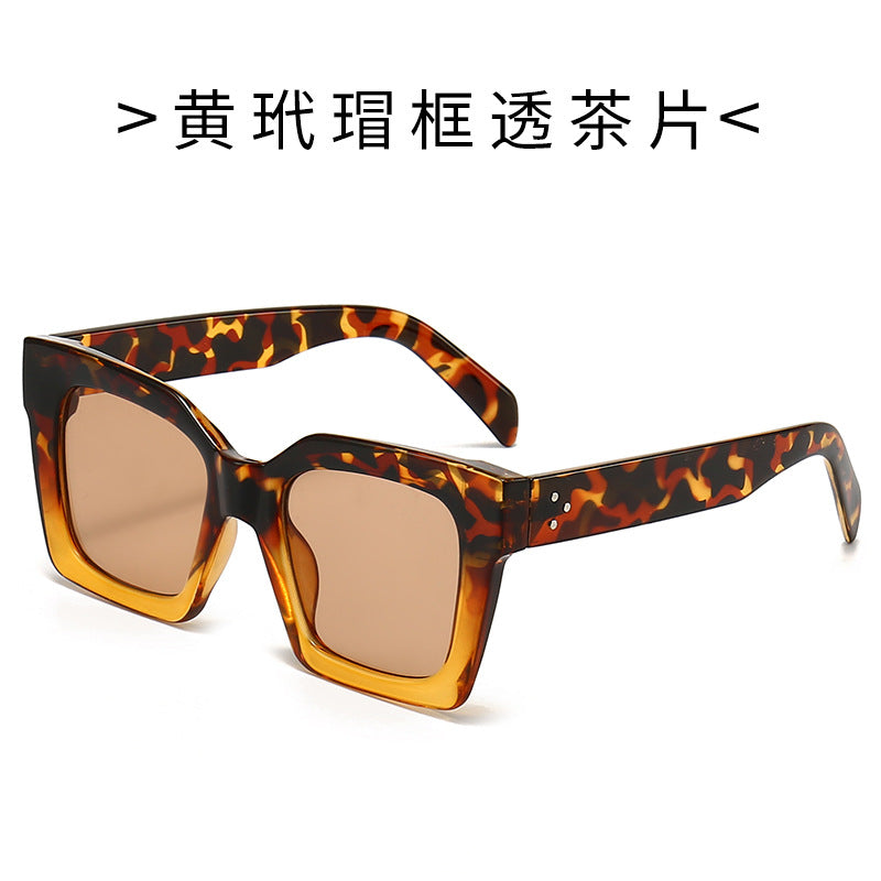 Women's Fashion Sunglasses in Striking Turtle Design Kalsten