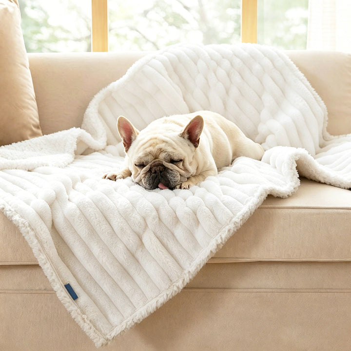 Cozy Plush dog Blanket