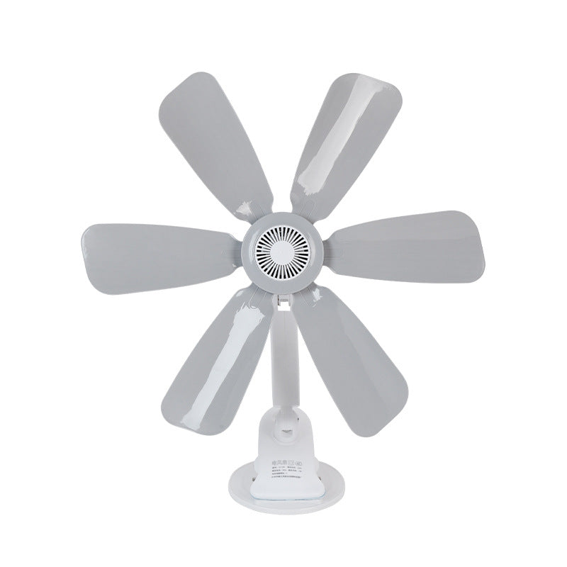 Women's Stand Fan Kalsten