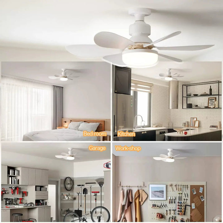 Colorful Ceiling Fan Kalsten