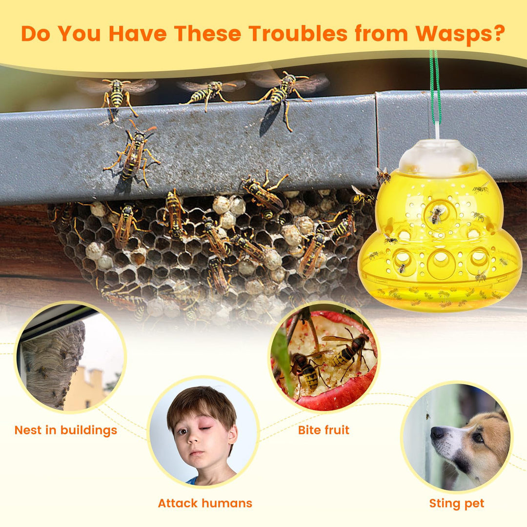 Wasp safety trap Kalsten