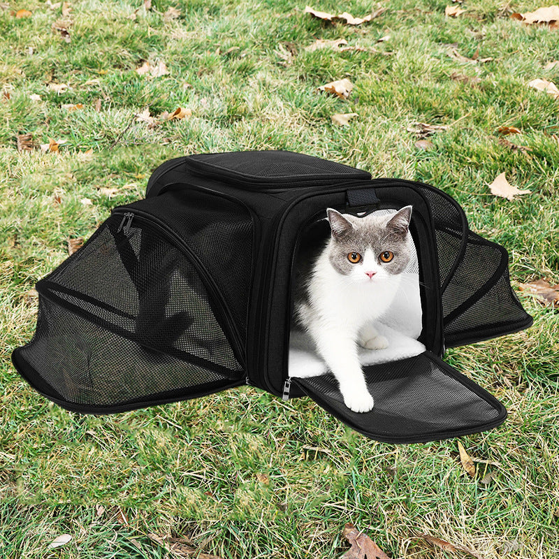 Transport bag Kalsten
