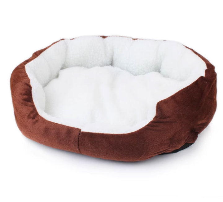 Cozy Orthopedic Dog Bed 1785335863