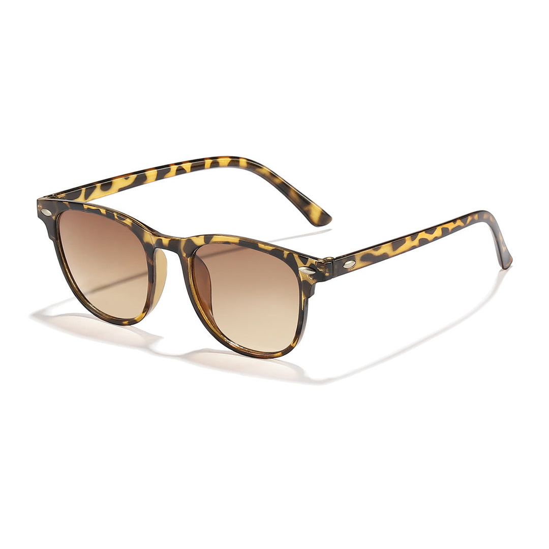 Ladies trendy Transparent Sunglasses Kalsten