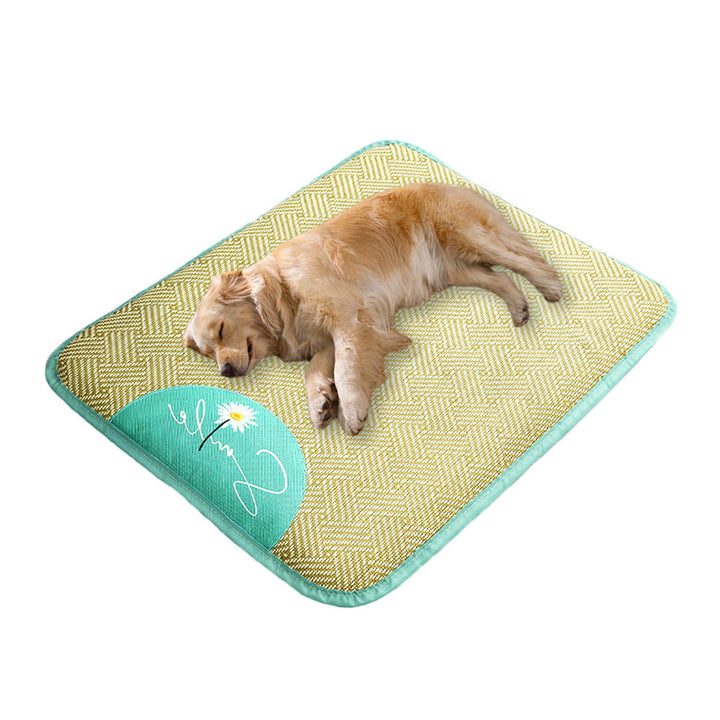 Orthopedic Dog Bed