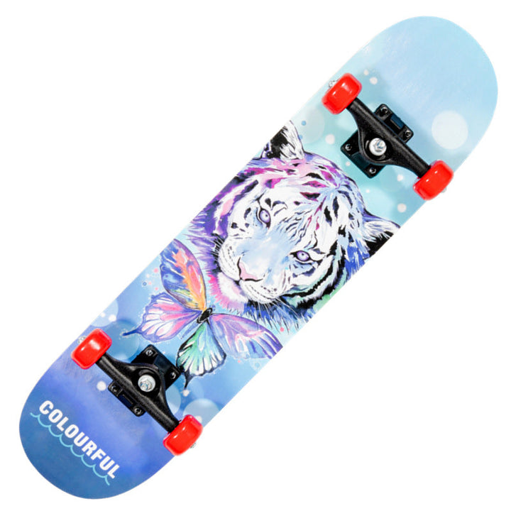 Dragon Graphic Skateboard Kalsten