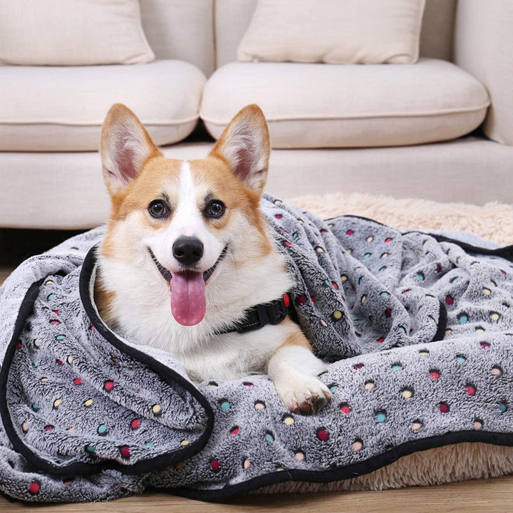 Ladies Cozy Microfiber Blanket with Playful Pattern Kalsten