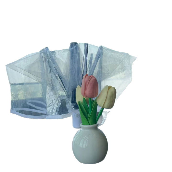 Ladies Transparent Rain Umbrella Kalsten