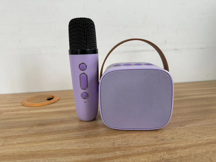 Portable Bluetooth Speaker with Wireless Microphone Kalsten