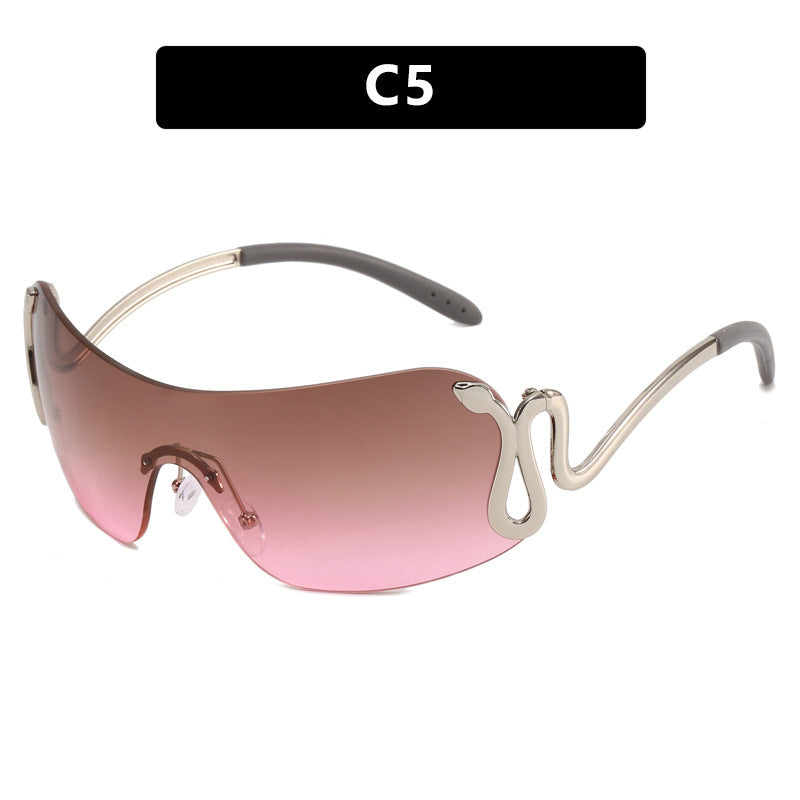 Ladies futuristic sunglasses with elegant swan design Kalsten