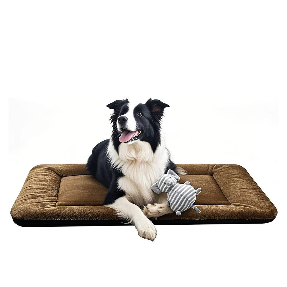 Orthopedic Supportive Dog Bed
