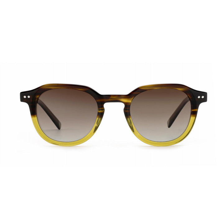 Ladies stylish sunglasses with distinctive design Kalsten