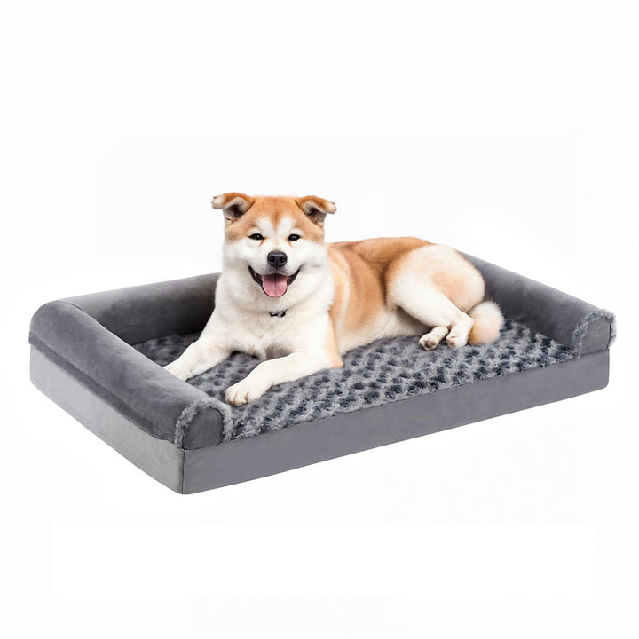 Elevated Orthopedic Dog Bed