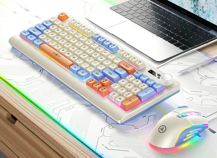 Retro RGB Mechanical Keyboard and Optical Gaming Mouse Set Kalsten