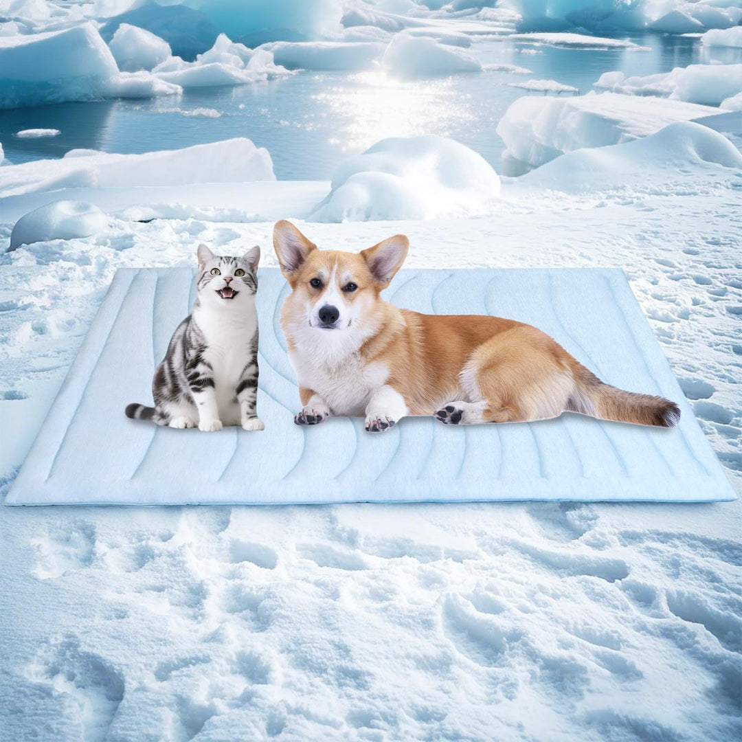 Tier Snuggle Blanket Kalsten