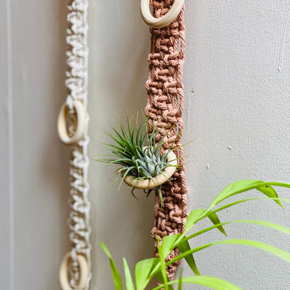 Macrame Wall Plant Holder Acalora
