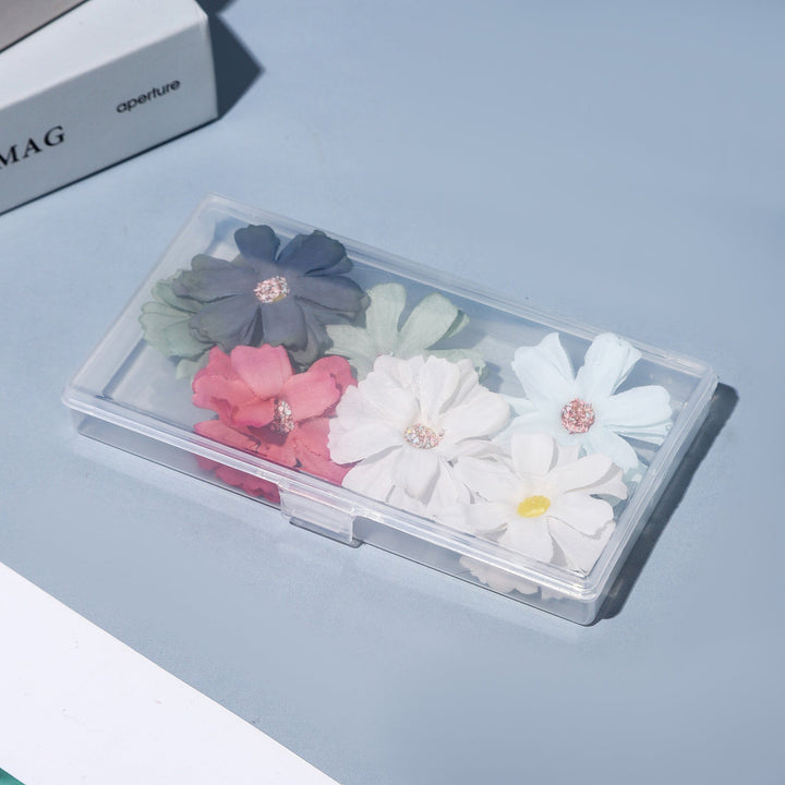 Slim Transparent Storage Case Kalsten