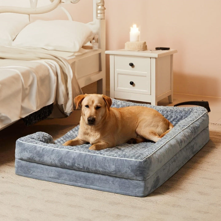 Extra-Comfort Bolstered Dog Bed