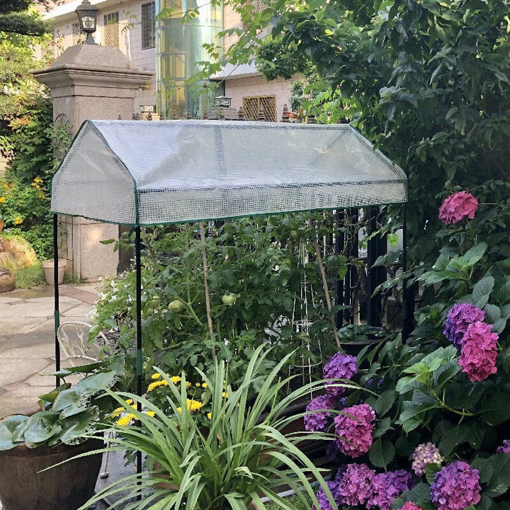 Garden Greenhouse