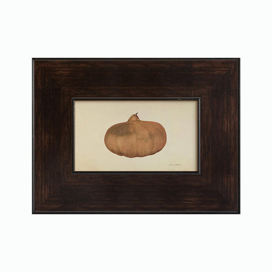 Framed Pumpkin Botanical Art Print
