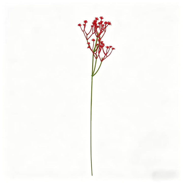 Unisex nan filigree deco flower stem with fine panicles and long stem Kalsten