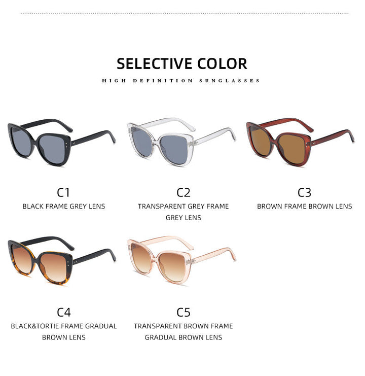 Ladies glamorous oversized sunglasses withElegant transparent frame Kalsten