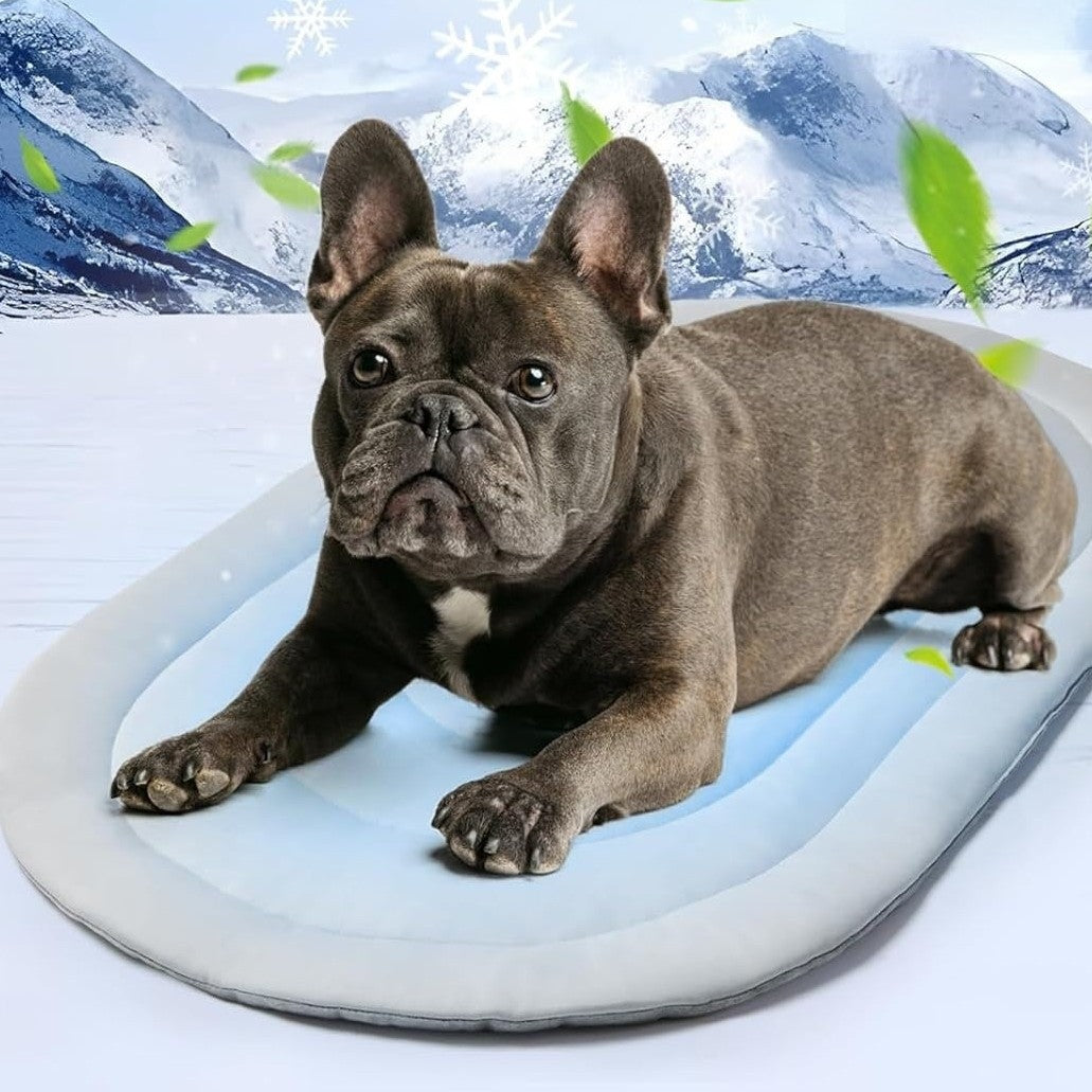 Unisex Pet Bed with Ergonomic Padding Kalsten