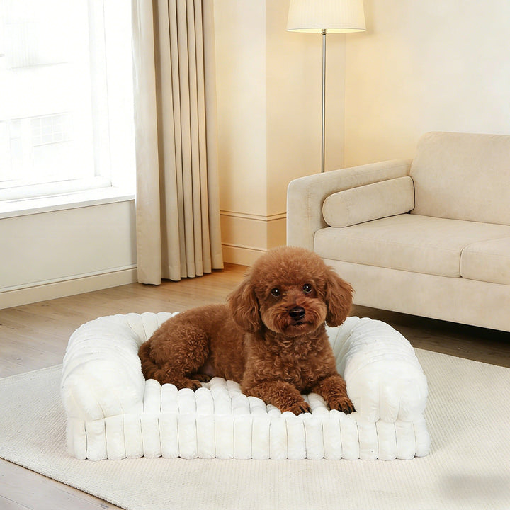 Elegant Bolstered dog Sofa