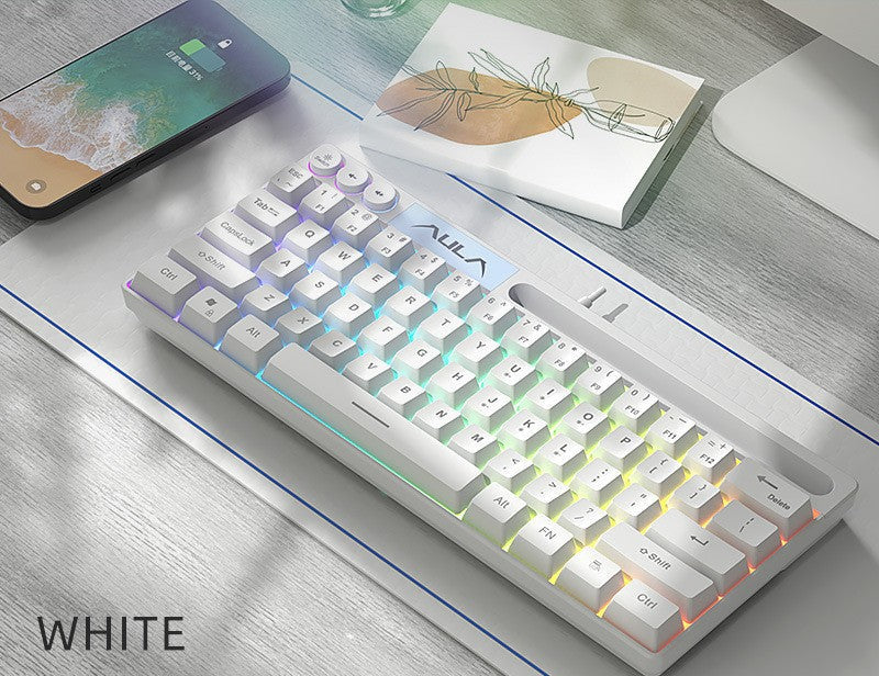 Wireless RGB Ultrathin Mechanical Keyboard Kalsten