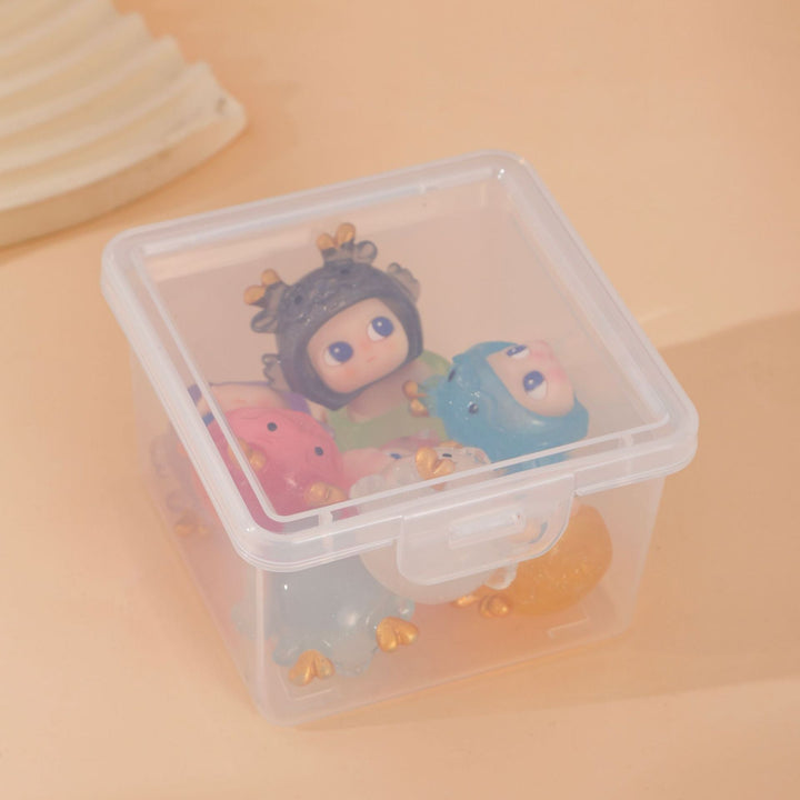 Multi-Functional Transparent Storage Box Kalsten