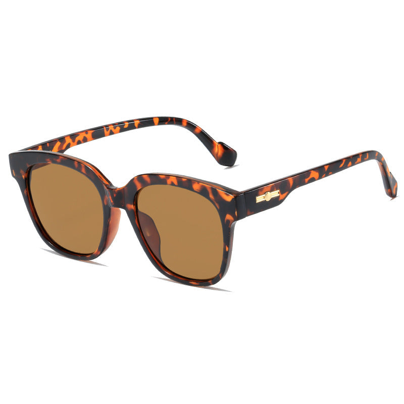 Women’s classic sunglasses with modern oversized frame Kalsten