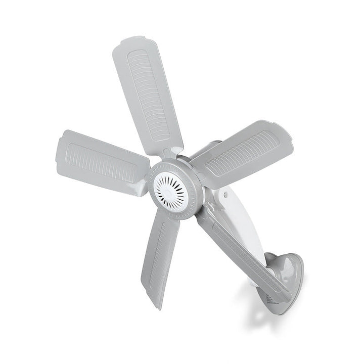 Women Wall Fan Kalsten