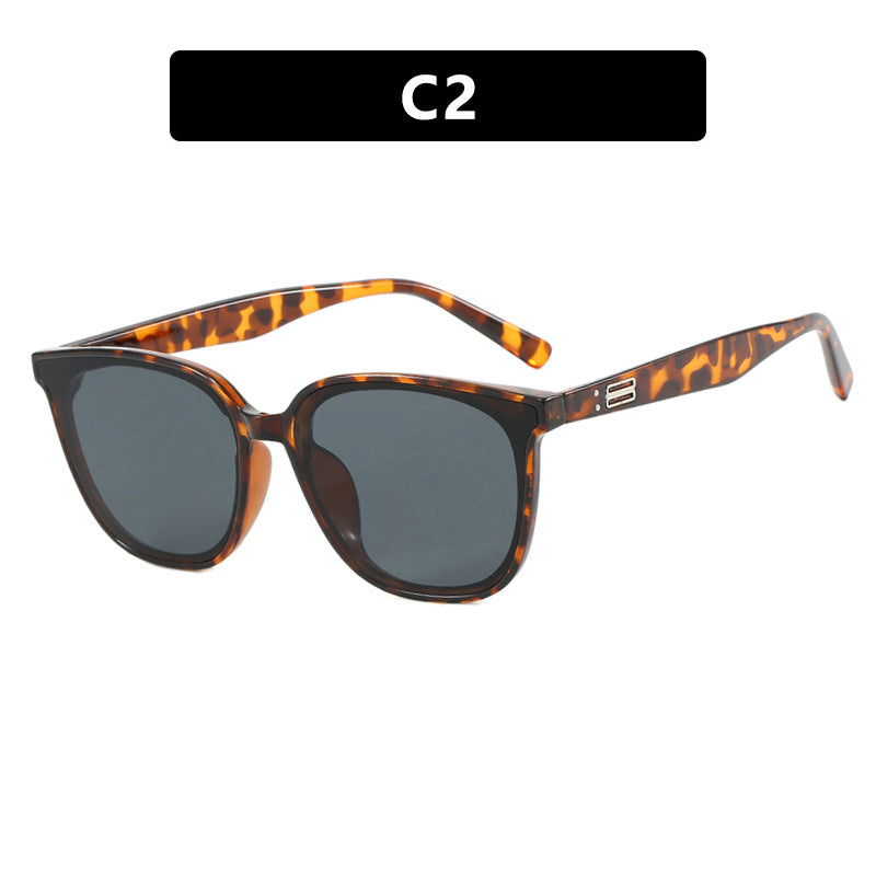 Women’s sunglasses in modern chic style Kalsten